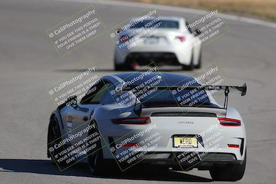 media/Nov-19-2023-Extreme Speed (Sun) [[bd0eec5490]]/Purple/Back Shots/